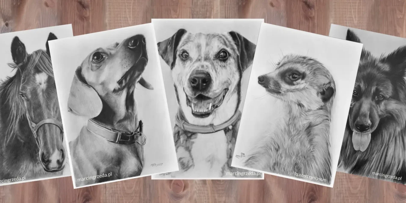 Zdjęcie przedstawia 5 portretów zwierzaków wykonanych ołówkiem na białym papierze. Wśród zwierzaków są 3 psy oraz koń i surykatka.
