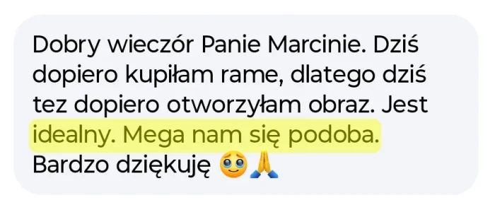 Opinia mojej klientki na temat wykonanego przeze mnie realistycznego portretu oraz współpracy ze mną Dobry wieczór panie Marcinie. Dziś dopiero kupiłam ramę, dlatego dziś też dopiero otworzyłam obraz. Jest idealny. Mega nam się podoba. Bardzo dziękuję.